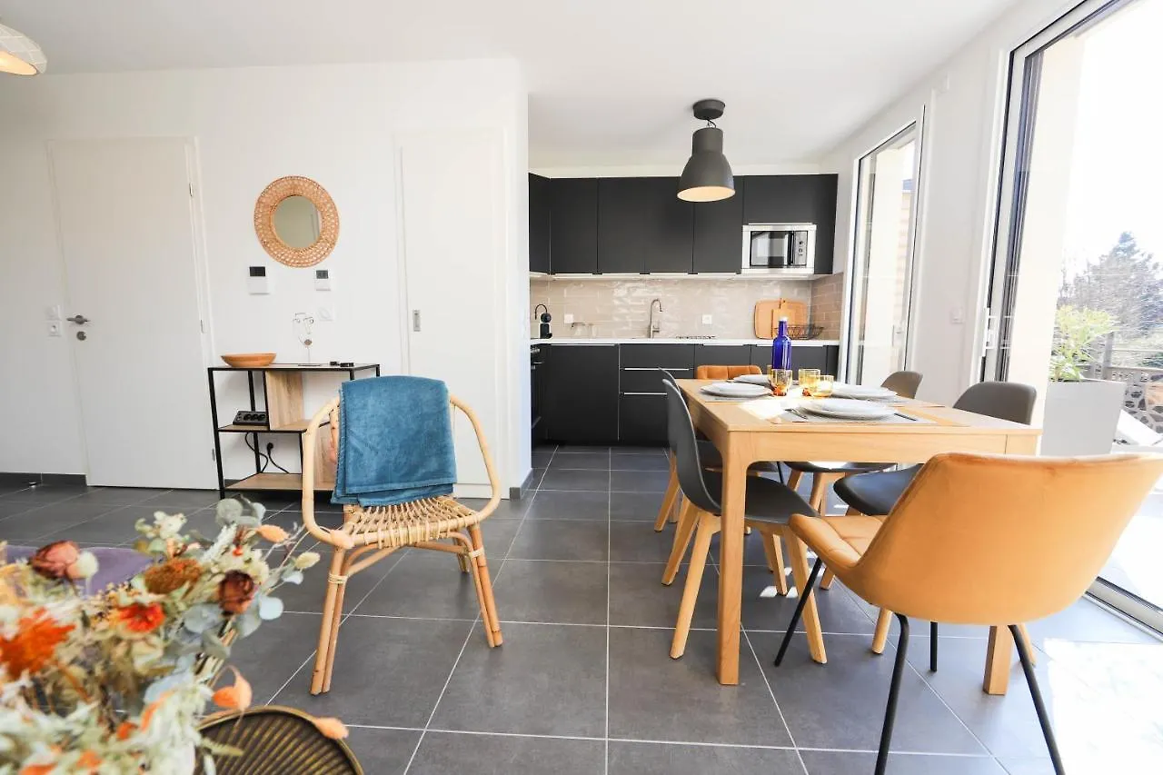 Les Choucas - Appartement Duplex Lumineux Avec Parking Annecy France